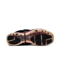 Air Jordan 16 Retro Cerise