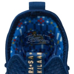 Nike LeBron 14 - Chaussure Iconique Légendaire