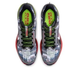 Nike Pegasus Premium - Domination Tous Terrains