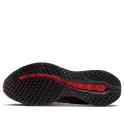 Nike Pegasus Premium - Domination Tous Terrains